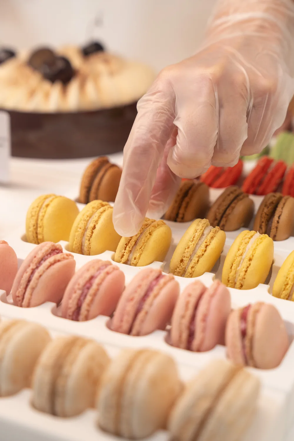 Mise en boîte des macarons au laboratoire de la Pâtisserie Agathe Olivet